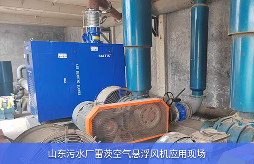山東污水廠(chǎng)使用55kw雷茨空氣懸浮風(fēng)機