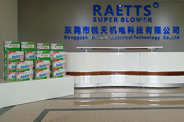 兩“節”相遇，粽情端午